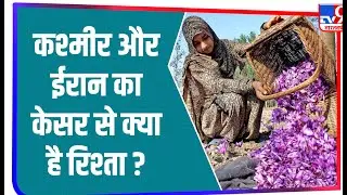 ईरान उगाता है दुनिया का 95 फीसदी केसर, जानिए क्या है ईरान और कश्मीर का केसर से रिश्ता ?