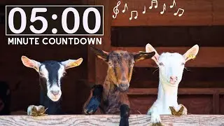 Relaxing Nature Farm Animals | 5 Minute Countdown Kids Timer | Spring Animals | Classroom Management
