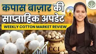 इस हफ्ते कपास में क्या बदला? 😨|| Weekly Cotton Market Review #kapas #cotton