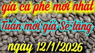 Coffee prices today, January 12, 2026