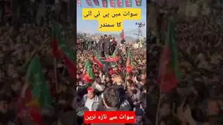 Suwat mein PTI ka power show/PTI sunami in Surat#swatpowershow#shorts#PTI#Imran Ahmad khan niazi
