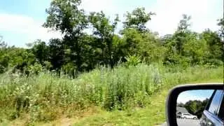 26 Hilltop Ave 2