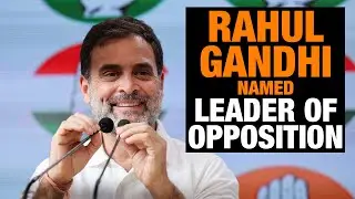 LIVE | Rahul Gandhi Named Leader of Opposition | Congress Gears Up for Speaker Election | News9
