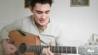Queens of the Stone Age - Regular John (acoustic cover)