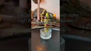 Litha Ritual ☀️ ( gratitude prayer )