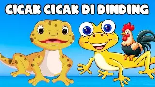 Cicak Cicak Di Dinding, Lagu Anak Anak - Lagu Anak Indonesia