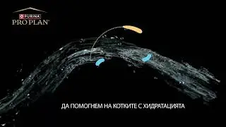 Purina&reg; Pro Plan&reg; Hydra Care&trade; Хидратация за твоята котка