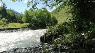 Шум реки. Звуки природы- The noise of the river. Sounds of Nature