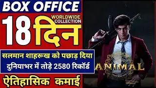 Animal Movie Box Office Collection, Animal 18th Day Collection, Animal 17 Days Collection