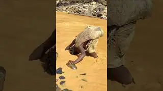 See how the Hadza clean their heads #usa #africa #funny #comedy #indonesia #brasil
