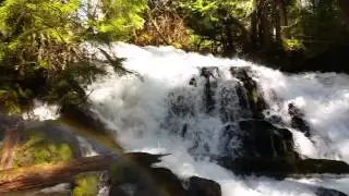 Pearsony falls