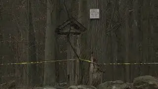 Man walking dog finds human hand in park on Staten Island