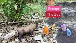 Escape The Zoo 🔒