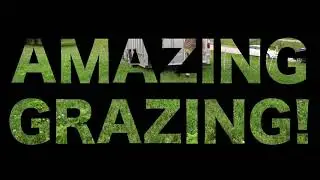 Amazing Grazing at the MWRD