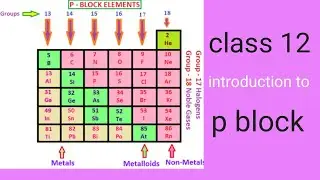 Class 12 introduction to p black element