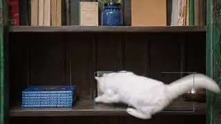 Pet Camera ,Security Camera Indoor,Pet Camera with Phone App, ,Security