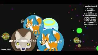 SDA gameplay w/ leader (alex le boyfriend)
