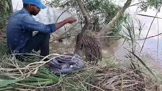 FISHING VIDEOS | BAAM FISH CATCHING 🐟 AK ANGLER DESIFISHING