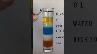 Science Experiment with Density #science credit: Popular Mechanics