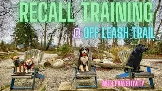 Recall  dog training at Harbour View Off Leash Dog Park trail with friends. #dogtraining #recall