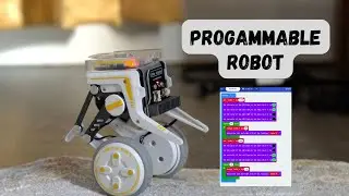 Обзор набора ELECFREAKS micro:bit XGO Rider &mdash; увлекательный и практичный способ изучения робототе...