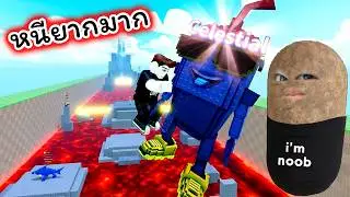 พาพริก Celestial หนีลาวาที่ยากระดับสูงสุด Roblox Survive LAVA for Brainrots