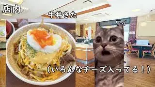初めてチーズ牛丼を食べた時の話　#猫ミーム #猫マニ