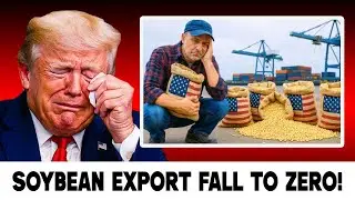 Trump PANICS as U S  Soybean Exports COLLAPSE &mdash; Farmers Face MASSIVE Losses!