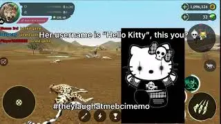 How to roast a hacker ;) // The Cheetah Online Simulator
