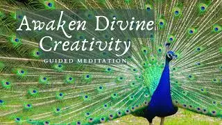 Awaken Your Divine Creative Energy | Flow State & True North Meditation (30 Minutes)
