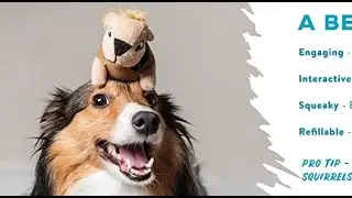 Best Dog Accessories 🐾#4: 9 Cool Dog Gadgets 💡 Puppy Accessories