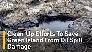 Clean-Up Efforts To Save Green Island From Oil Spill Damage | TaiwanPlus News