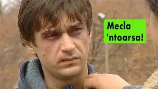 Mecla 'ntoarsa! --- Viziru in serialul REGINA