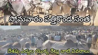 ##Pathikonda monday bulls market##//##పత్తికొండ సొంత లో దేశపు ఎద్దుల రెట్లు ##