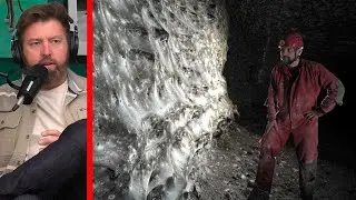 В глубине пещеры Pitch Black обнаружена самая большая в мире паутина.