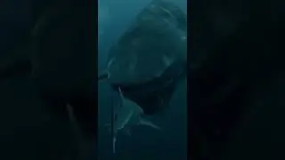 Megalodon vs Shark 😱 Nature&rsquo;s Most Brutal Predator Returns #shorts