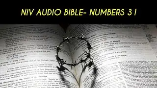 NUMBERS 31 NIV AUDIO BIBLE (with text)