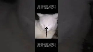 жду 