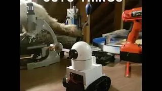 The Experimenteer - Assisto bot