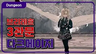 브리레흐 3관문 다크메이지 플레이(디버프 패치 전)