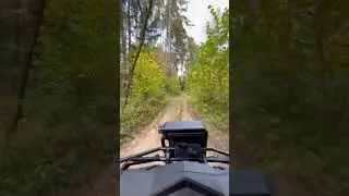 Квадроцикл atv hammer 3 tracker