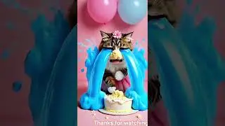cat crying 😭😭#viral #video