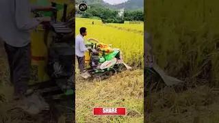 Mini combine harvester I Mini harvester #harvester #shorts