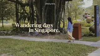 Wanderlust in S'pore⏐First Omakase dining⏐Jungle pottery Exploration, belated Xmas present unboxing.