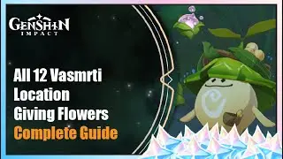 All Vasmrti Location and the Achievement 