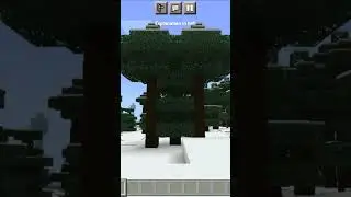 rarest combo of three trees#jsgaming #minecraft #gaming
