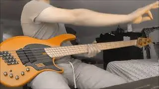 Blinded in Chains (bass cover) - Avenged Sevenfold