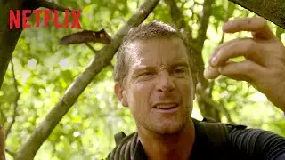 You vs. Wild | Interactive Series ft. Bear Grylls | Official Trailer | Netflix
