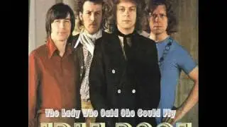 The Lady Who Said She Could Fly Idle Race