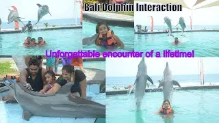 Bali Dolphin Interaction | Unforgettable encounter of a Lifetime #thefamilytraveller23 #bali